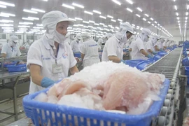 Cá Tra Việt Nam 'vượt rào' ngoạn mục