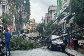 Cột điện gãy đè lên xe biển xanh đang đậu trên đường