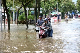 Triều cường lên đỉnh, học sinh Cần Thơ phải nghỉ học