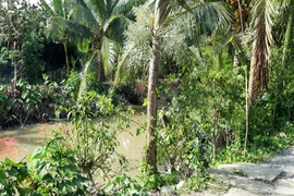 Nơi xảy ra vụ việc