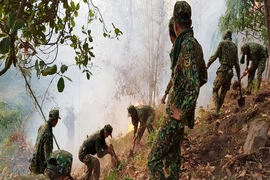 Cháy rừng dữ dội ở Núi Cấm 