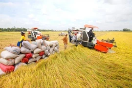 Vĩnh Long: Chi 400 tỉ đồng xây Bảo tàng nông nghiệp 