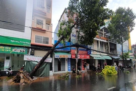 Cần Thơ: Thêm một người bị sét đánh tử vong khi làm đồng