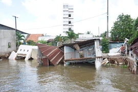 5 căn nhà đồng loạt sụp xuống sông Cần Thơ
