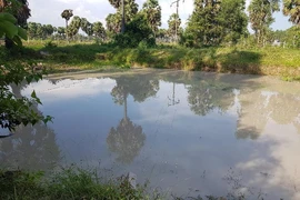 Thương tâm: 5 trẻ đuối nước tử vong 