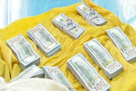 An Giang: Mật phục phá vụ vận chuyển USD qua biên giới