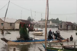 Tạm giam 5 người chống đối, giật lại hàng lậu