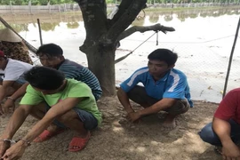An Giang: Triệt xóa sới bạc hàng chục người ở giữa đồng