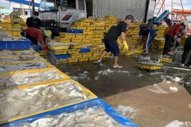 Lao động bốc vác tại cảng cá. Ảnh: HD