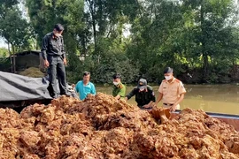 Bắt 12 phương tiện thủy chở đất trái phép từ Kiên Giang về An Giang