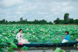 Thành lập Hội ngành hàng sen Đồng Tháp 