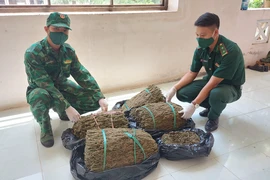 2 người ôm bao cần sa khô qua biên giới An Giang