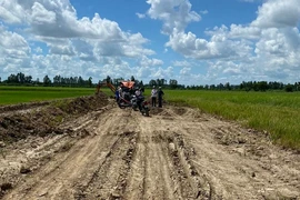 Bắt quả tang 2 người khai thác đất mặt trái phép ở An Giang
