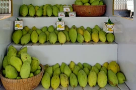 Xoài Đồng Tháp chinh phục thị trường quốc tế