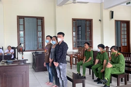 56 năm tù cho 3 người mua ma túy từ TP.HCM về Cần Thơ bán kiếm lời