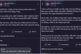 Phó Công an huyện Cao Lãnh nói về việc mình bấm được biển số đẹp 66F1-999.79