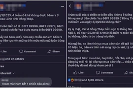 Chuyển Cơ quan điều tra vụ bấm các biển số đẹp ở Công an huyện Cao Lãnh