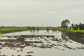 An Giang khẩn trương tìm nguồn cát cho cao tốc Châu Đốc - Cần Thơ - Sóc Trăng