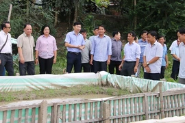  Đồng Tháp: Sắp diễn ra ngày hội Hội quán Đất Sen hồng