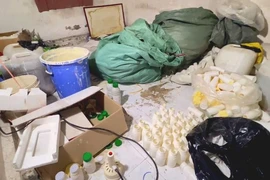 Triệt phá xưởng sản xuất thuốc bảo vệ thực vật giả ở An Giang