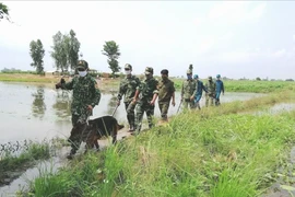 Người dân cung cấp cho Biên phòng An Giang hàng ngàn tin có giá trị