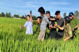 Bị chém tử vong khi đang nằm trên võng
