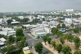 Công ty Cây xanh Công Minh trúng thầu hàng chục tỉ đồng tại Đồng Tháp