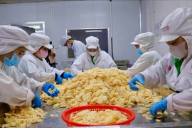 Kinh tế tỉnh Đồng Tháp có nhiều điểm sáng, nhiều mô hình sản xuất nông nghiệp hiệu quả