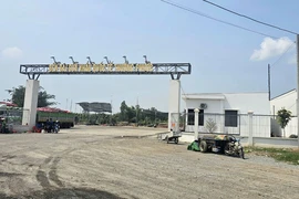 Đồng Tháp: Chuyển công an điều tra 1 công ty cho thuê đất sai quy định còn trốn thuế