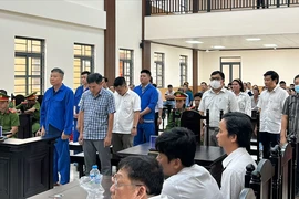 Tuyên án 14 bị cáo vụ xây kè chống sạt lở, gây thiệt hại hơn 12,6 tỉ đồng ở An Giang 
