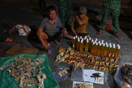 Bắt giữ hai phương tiện chở hơn 7 tấn sản phẩm nghi là động vật quý hiếm
