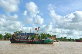 Đồng Tháp yêu cầu doanh nghiệp không tự ý ngừng bán xăng dầu