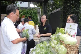 Heo rừng, gà… nuôi kiểu Mỹ ra chợ tết Việt