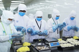 Lý do doanh nghiệp Việt không mặn mà sản xuất container