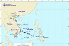 Bão suy yếu, TP.HCM cho tàu thuyền hoạt động trở lại