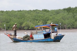 Một góc của xã đảo Thạnh An. Ảnh: L.THOA