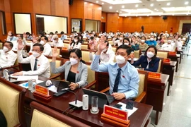TP.HCM thống nhất chi hỗ trợ cho 13 nhóm tình nguyện viên chống dịch
