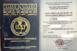 Giấy phép IAA và IDP. Ảnh: H.K