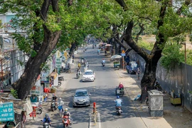 Ảnh: NGUYỆT NHI