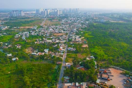TP.HCM trình việc chuyển mục đích sử dụng đất lúa dưới 500ha để làm dự án