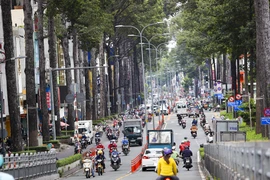 Đặt, đổi tên đường ở TP.HCM: Cần nghiên cứu phù hợp với đô thị hiện đại
