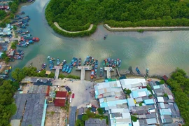 TP.HCM thu hơn 27.000 tỉ đồng tiền sử dụng đất, thuê đất từ dự án Khu đô thị lấn biển Cần Giờ