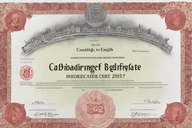 TP.HCM yêu cầu rà soát cán bộ dùng chứng chỉ ngoại ngữ 'Cambridge International'