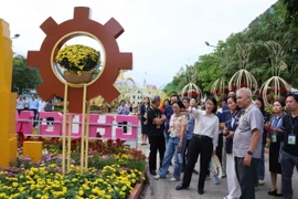 Lãnh đạo TP.HCM tổng kiểm tra đường hoa Nguyễn Huệ trước giờ khai mạc
