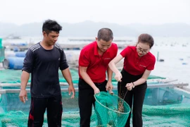 Phát triển kinh tế biển xanh, bền vững
