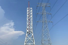 EVNNPT đẩy nhanh tiến độ cụm dự án truyền tải giải tỏa công suất Nhà máy điện Nhơn Trạch 3 và 4