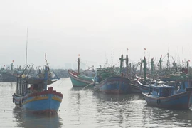 Tàu nước ngoài cứu ngư dân VN gặp nạn trong bão