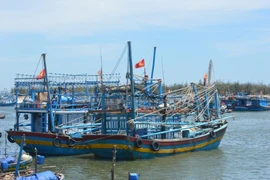 Ngăn chặn chủ tàu cá 'làm trò' lấy tiền hỗ trợ dầu 