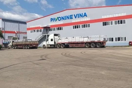 Một công ty tại Bà Rịa-Vũng Tàu bị xử phạt 300 triệu đồng