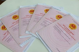 Bà Rịa - Vũng Tàu: Tạm dừng hồ sơ mua bán đất ‘đồng sở hữu'